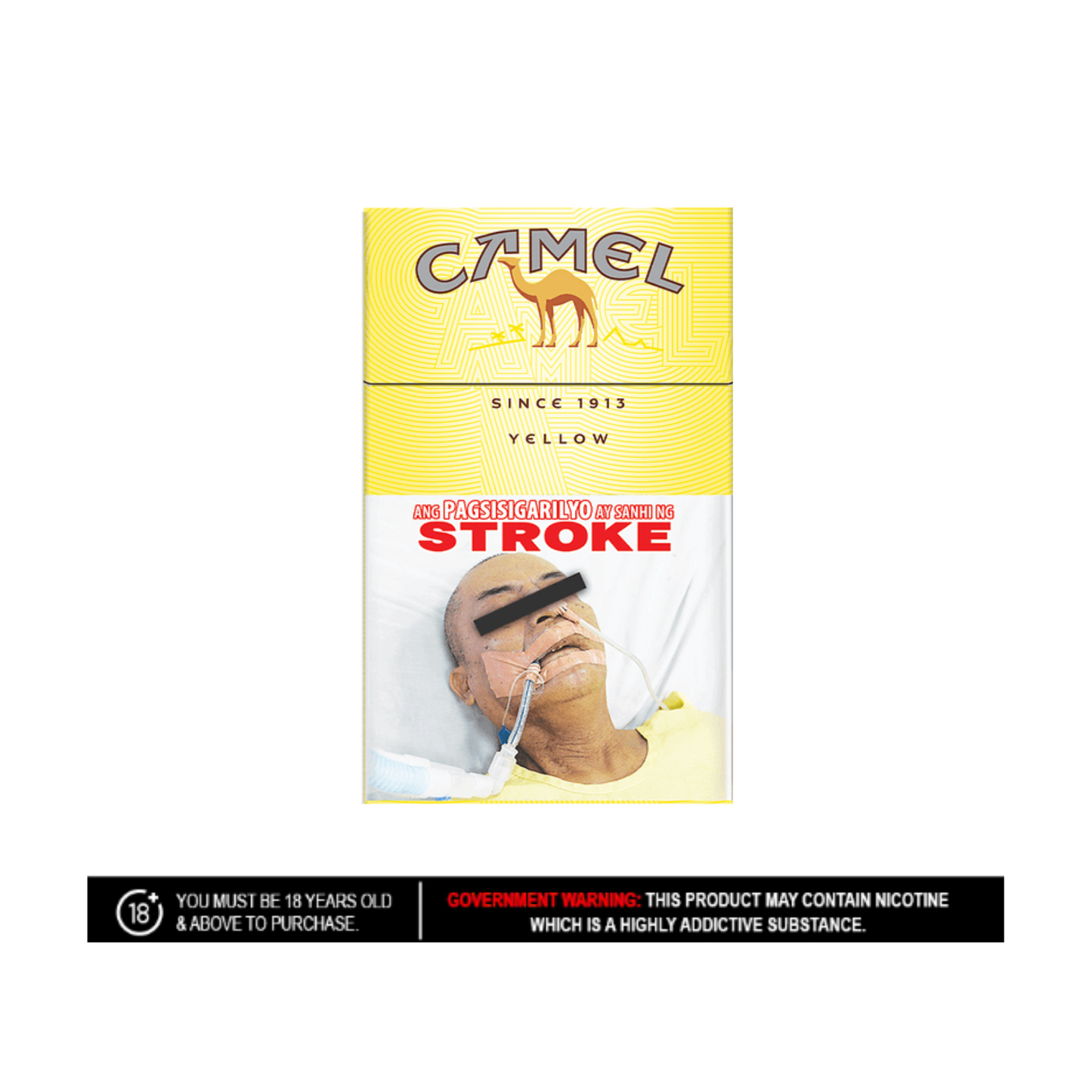 Camel Filtered Cigarettes 20 sticks